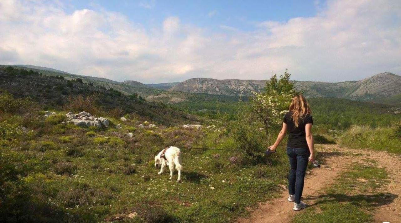 Les Mas D'Azur Appartement Vence Dış mekan fotoğraf